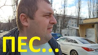 картинка: Женщина на Прокат. Первая Иномарка.