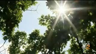 Dealing With Extreme Heat