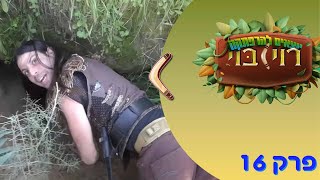 רוי בוי יוצאים להרפתקה: הדורבן רוי בוי יוצאים להרפתקה: הדורבן