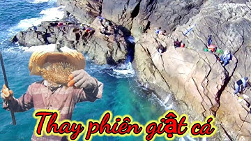 VUONG LT VOLG | câu cá biển | trải nghiệm cùng anh,em câu cá _ nấu ăn trên biển Nhơn Hải