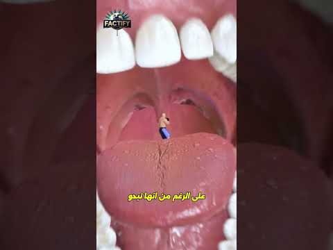 هل تساءلت يوم ا ما هي اللهاة