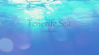 Tenerife Sea - Ed Sheeran (Cover by Frida & Carlos)