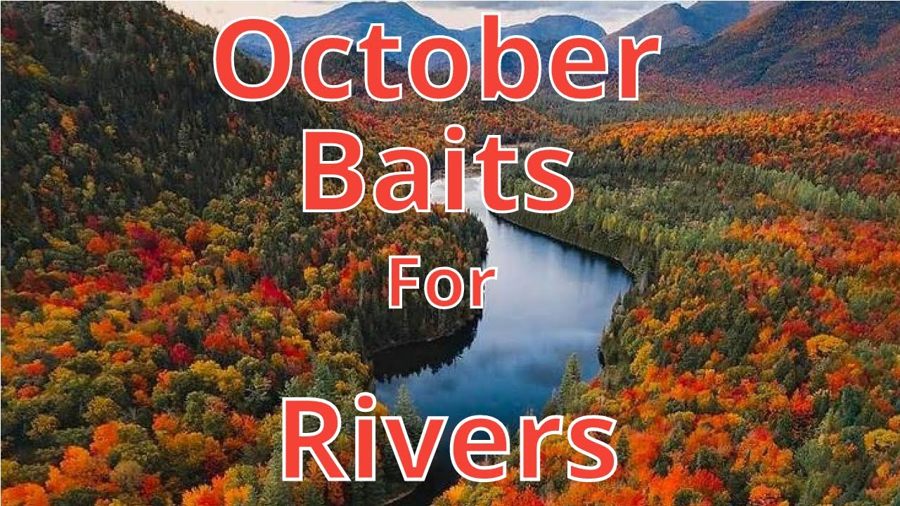 Top 3 River baits for Fall Bass Fishing YouTube