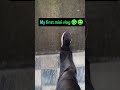 Funny corporate reels #corporatelife #viralvideo