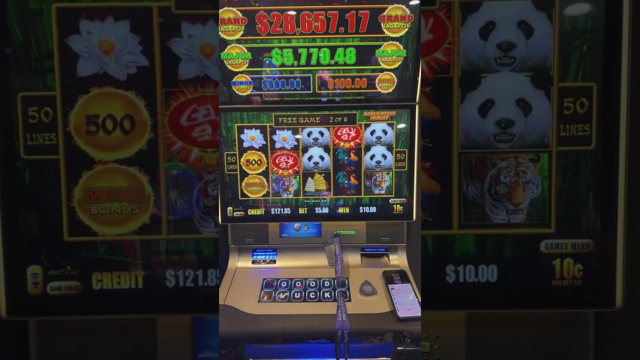 В Dragon Cash постоянно появляются новые возможности 