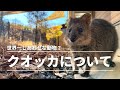 クオッカはこんな動物です！世界一しあわせな動物と呼ばる理由│埼玉県こども動物自然公園