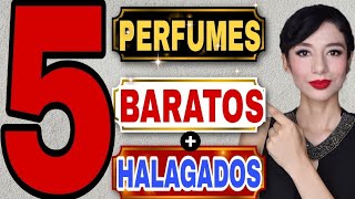 5 PERFUMES ECONÓMICOS MÁS HALAGADOS‼️