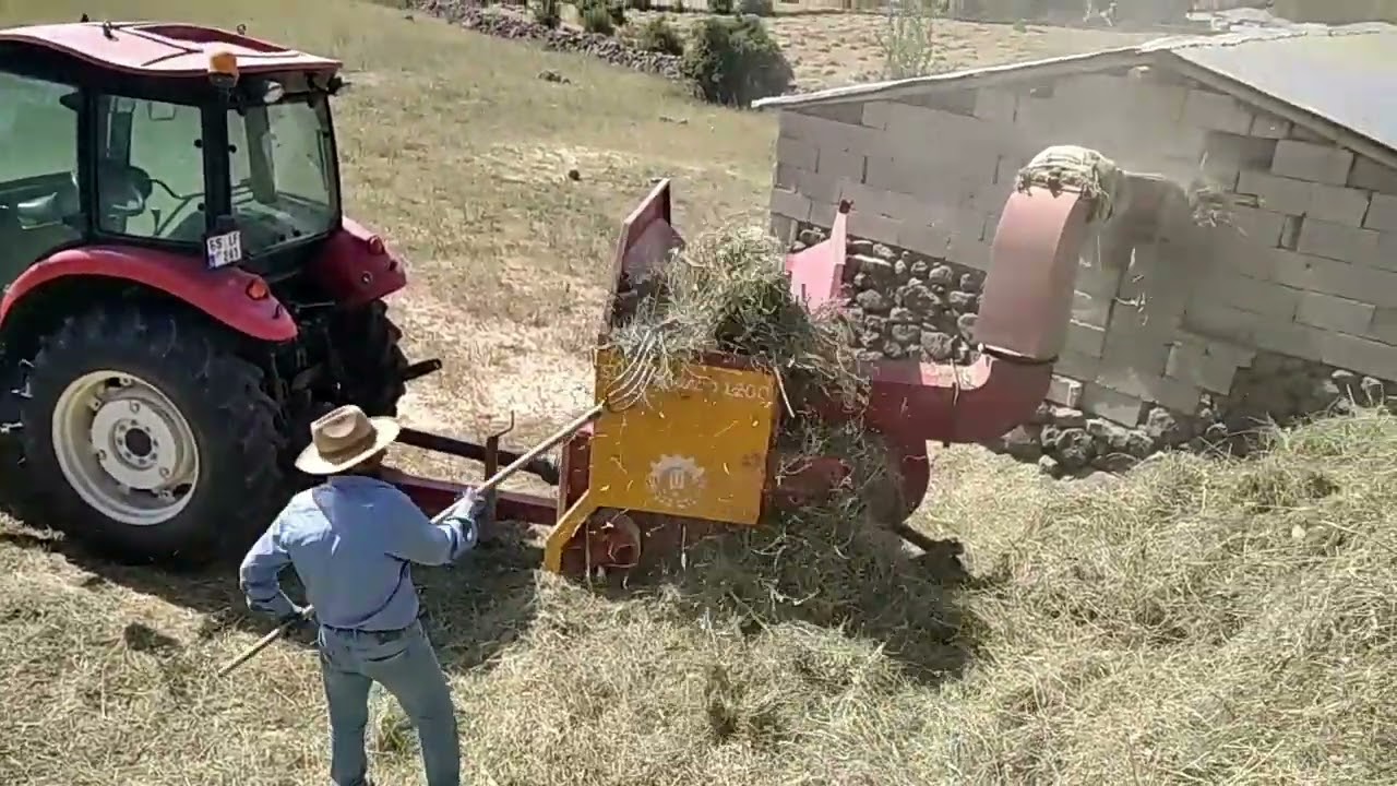 KIŞ HAZIRLIĞI PARTOS YEŞİL SAMAN......