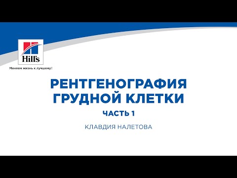 Вебинар на тему: “Рентгенография грудной клетки мелких домашних животных”. Часть 1.