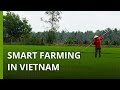 Vietnamese farmers trying hightech solutions to grow rice with less water