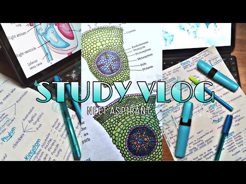 STUDY VLOG ll 11th grader ll NEET ASPIRANT ll @ study buddy