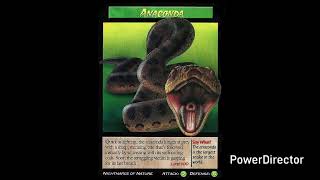 Weird N Wild Creatures J Paul Style Season 2 Episode 8 Green Anaconda 