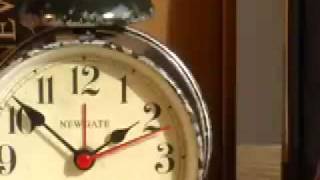 The Ritz Alarms - Newgate