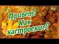 Привет! Как настроение? Как дни идут осенние...