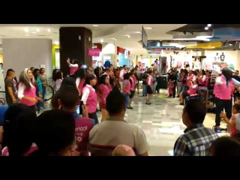 Liverpool oblatos Clearance