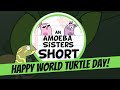 Ninja Turtles Theme Song Analysis