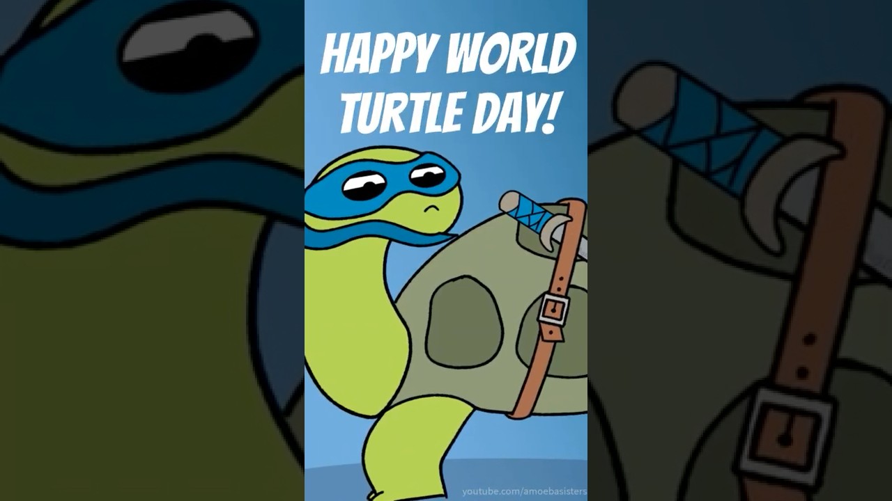 Happy World Turtle Day 🐢  - Amoeba Sisters 