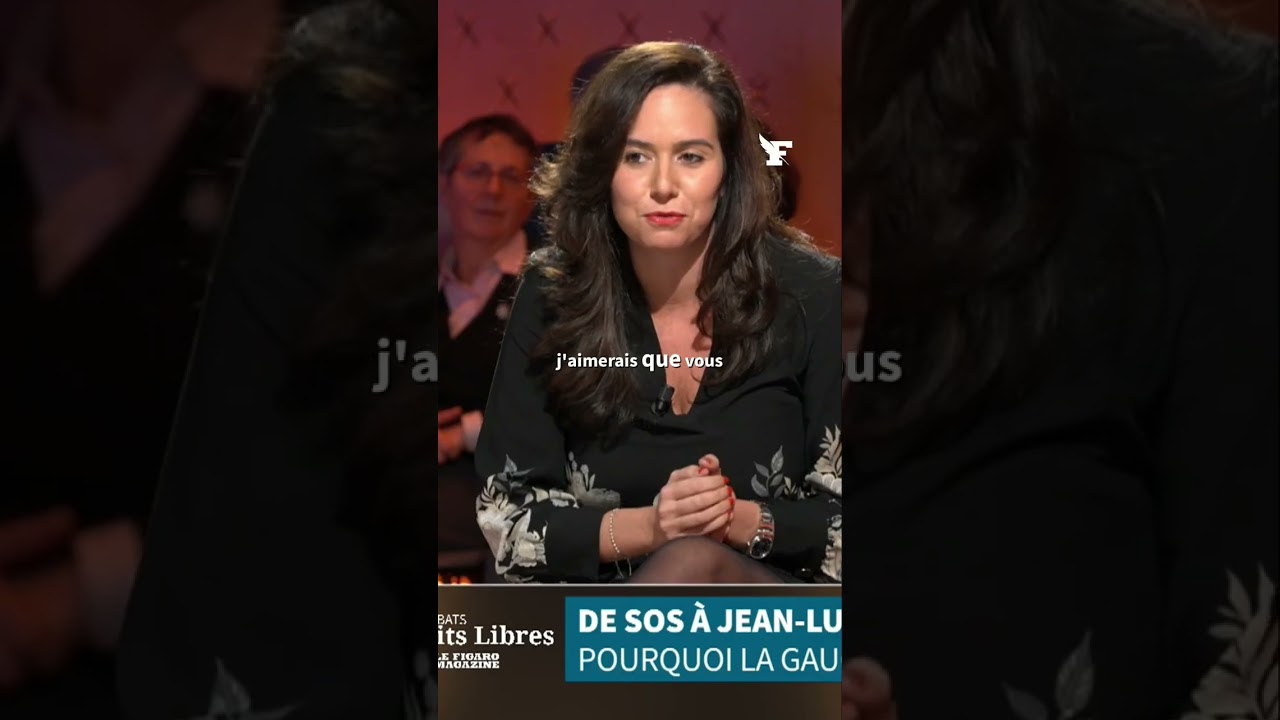 Sarah Knafo à Julien Dray: «Vous êtes passé de SOS Racisme à CNews»