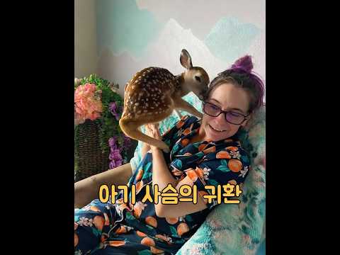 하수구에서 이상한 소리가 났는데, 알고 보니 새끼 사슴 한 마리가 안에 갇혀 있었다. #동물 #동물키우기 #animals thumbnail