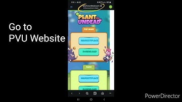 HOW TO START PLAYING PVU PVP