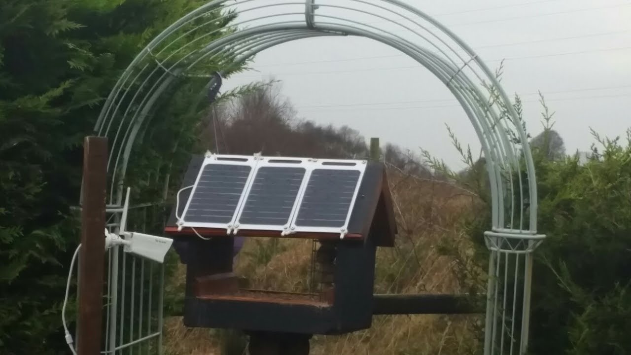 livebirdcam birdcamlive Live Stream