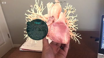 Merge Cube - Anatomy AR+