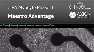 Complete solution for multiwell MEA hiPSC cardiomyocyte assays