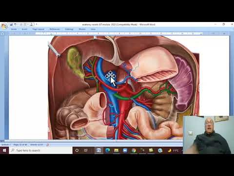 Anatomy GIT Module in Arabic 53 ( Portal circulation, part 1) ,  by Dr, Wahdan