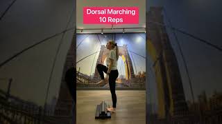 Moflex Barefoot Ankle Mobility and Foot Stability Training
