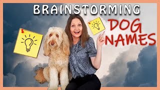 NAMING YOUR DOG 💡 ACE the PERFECT DOG NAME for your PUPPY