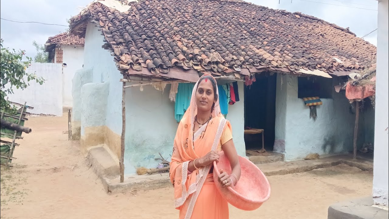 संगवारी हो बाड़ी जथन भाजी तोड़े ला। सरस्वती साहू cg vlog