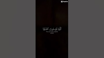 ماتيسر من سورة الانفال 😍