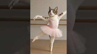 Ballet Cat’s Graceful Performance