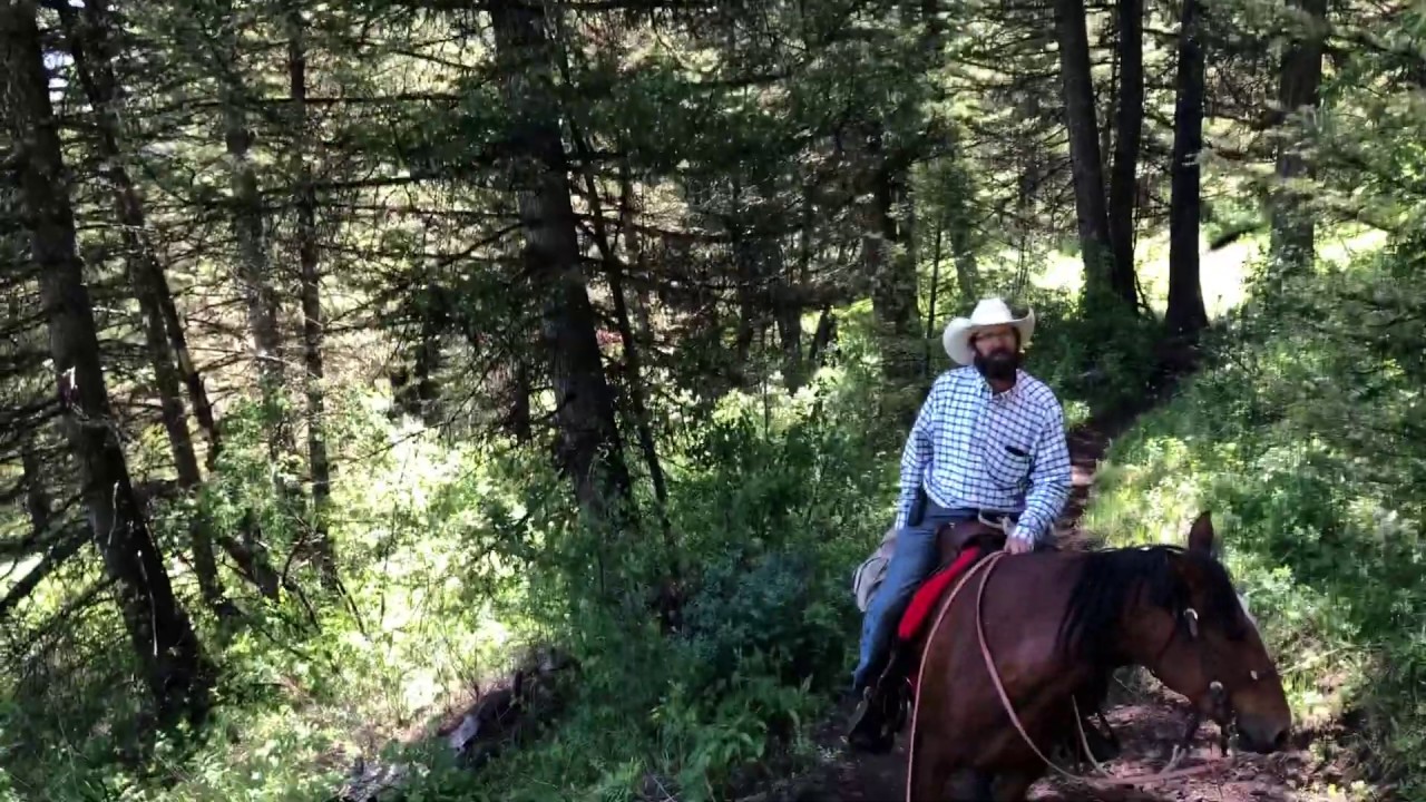 Horseback Riding in Jackson, Wyoming Mill Iron Ranch Gros Ventre