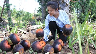 Have you ever used ripe palm fruit for your recipe / Ripe palm fruit recipe / Cooking with Sreypov