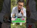 面对各种传染病，家长需要教会孩子的十不要#抖出健康知识宝藏 #医学科普 #健康知识 #硬核健康科普行动