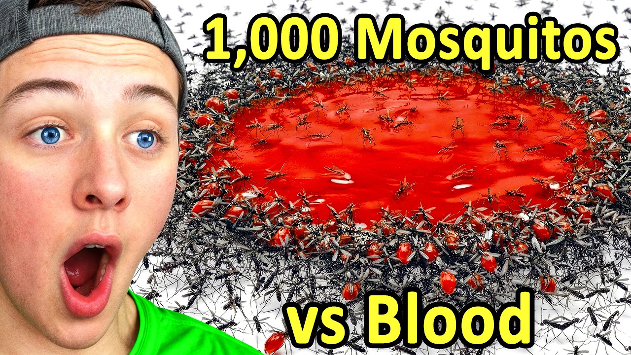 Reacting to 1,000 Mosquitoes vs. Blood