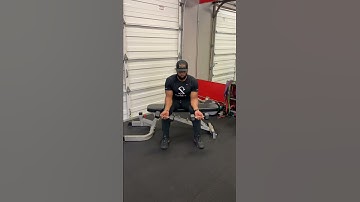 Dumbbell Seated Wrist Curls