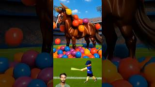 The Horse break out #animation #stylish #breakout #entertainment