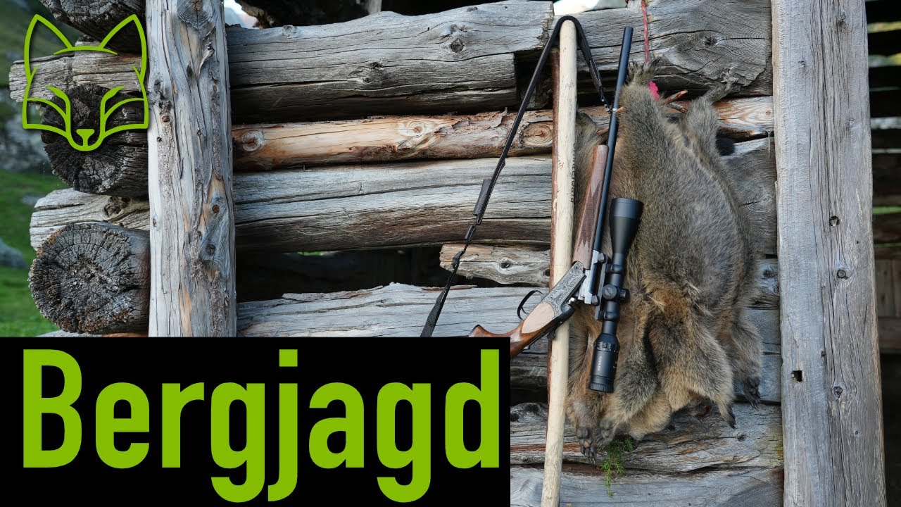 Auf Murmel und Gams in den hohen Tauern