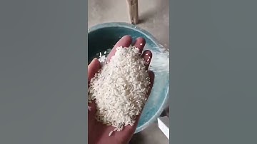 AMD Single Chute Rice Color Sorter Machine #colorsorter #sorting #machine #sortex