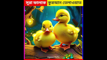 সূরা ফালাক তেলাওয়াত Surah Falaq سورة الفلق SURAH AL FALAQ By হাফেজ মাওলানা নূরুদ্দিন জাহাঙ্গীর#viral