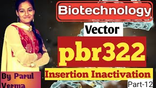 Vector : pBR322 |Insertion Inactivation |Differentiate Recombinant from non recombinant |pBR322