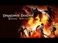 [3] Dragon's Dogma