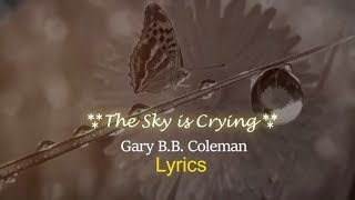 Gary B.B.  Coleman - The Sky is Crying Lyrics 🌈