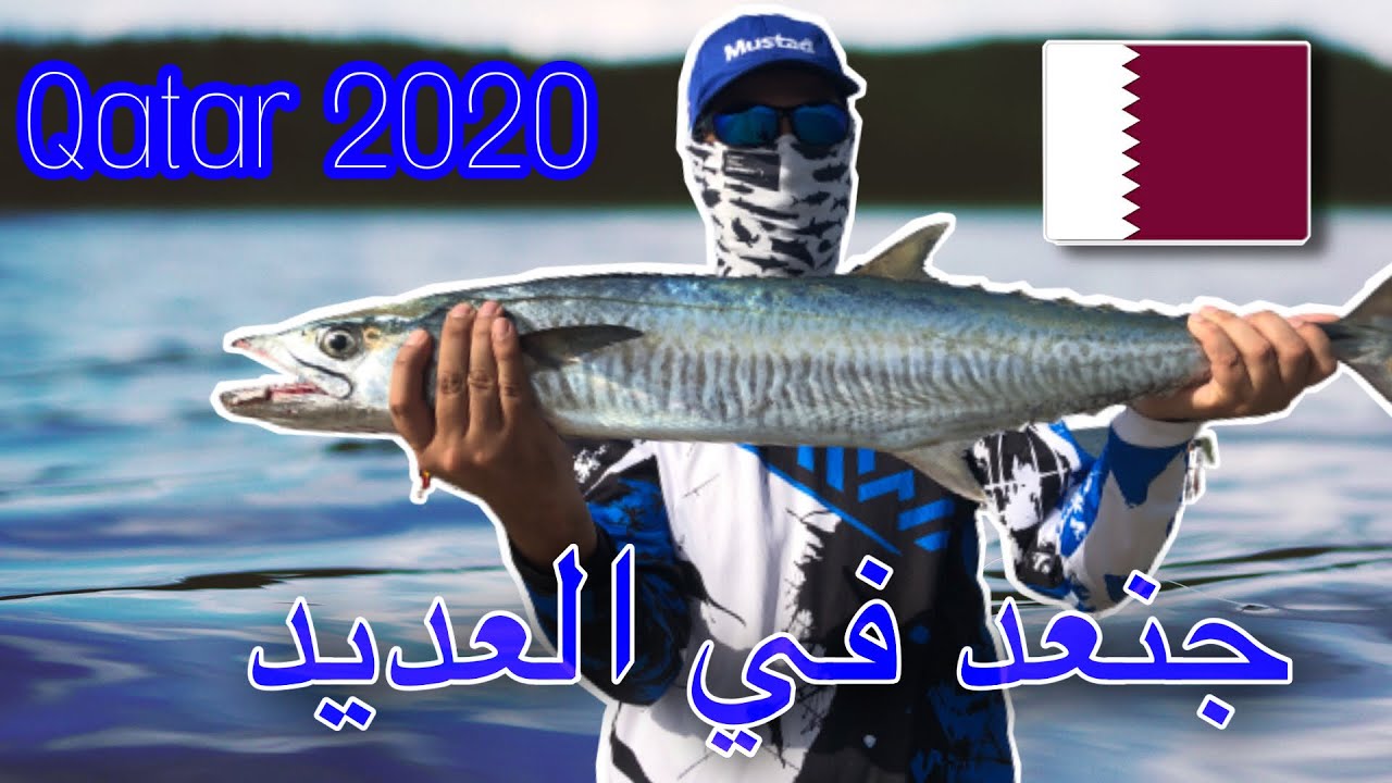 Kingfish shore fishing in Qatar 2020 صيد جنعد في خور العديد في قطر ...