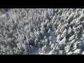 Гора Тростян. Ёлочку? Mavic Air 2