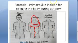 Forensic 050 a I shape Incision Y modified technique Autopsy Medico Legal Postmortem