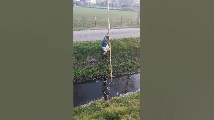 polsstok springen