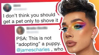 James Charles' Puppy Video Has Fans Accusing Him of Exploiting His Dog